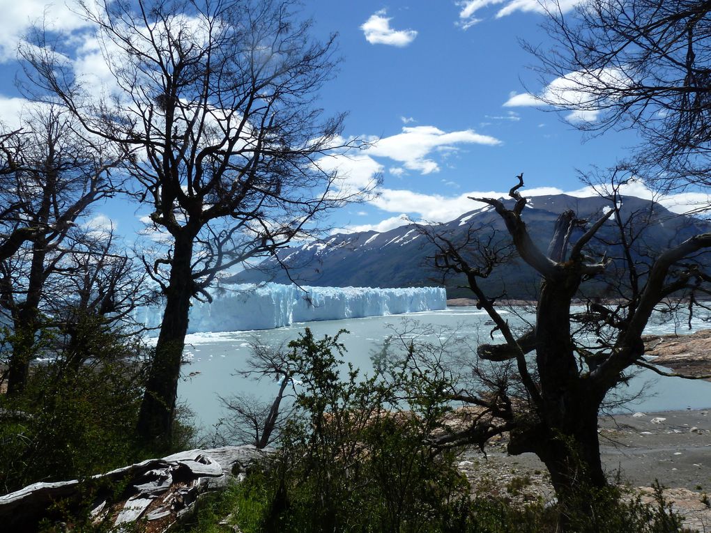 Album - 030 ) EL CALAFATE TRECK PERITO MORENO