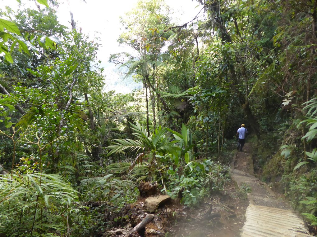 ESCAPADE DANS LE VERAPAZ, LE CENTRE DU GUATEMALA