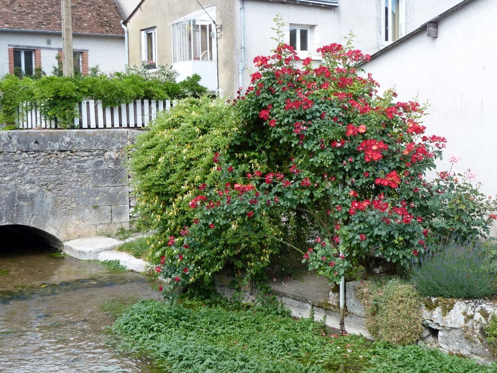 Suèvres est une ville de France, située dans le département Loir-et-Cher, de la région Centre.
Les habitants de Suèvres sont appelés les Sodobriens, Sodobriennes.
Les 1464 habitants de la commune vivent sur une superficie de 37 km² avec une de