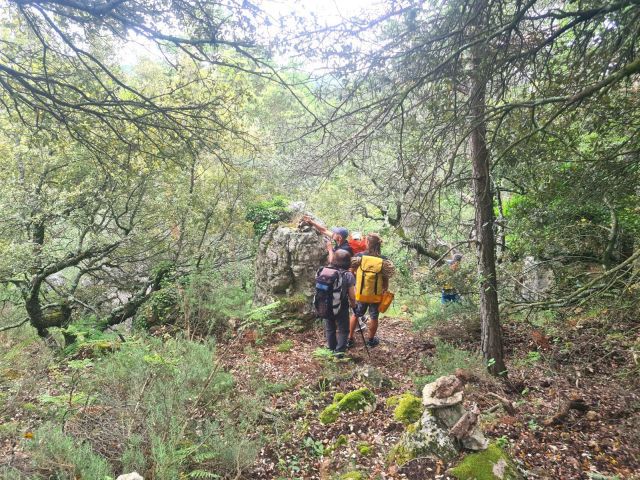 Séance de cairnage dans les bois du Ponchin. Olivier se la pète un peu avec son cairn majuscule...