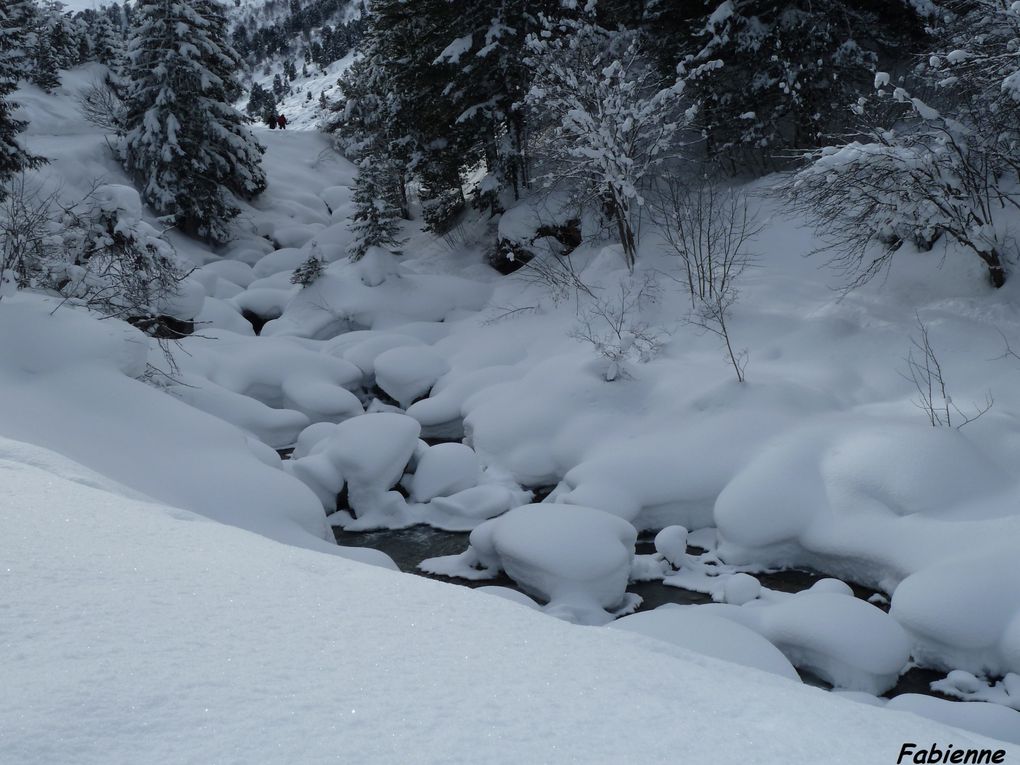 Album - VALLEE-TARENTAISE