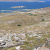 L' île qui a vu naître Apollon