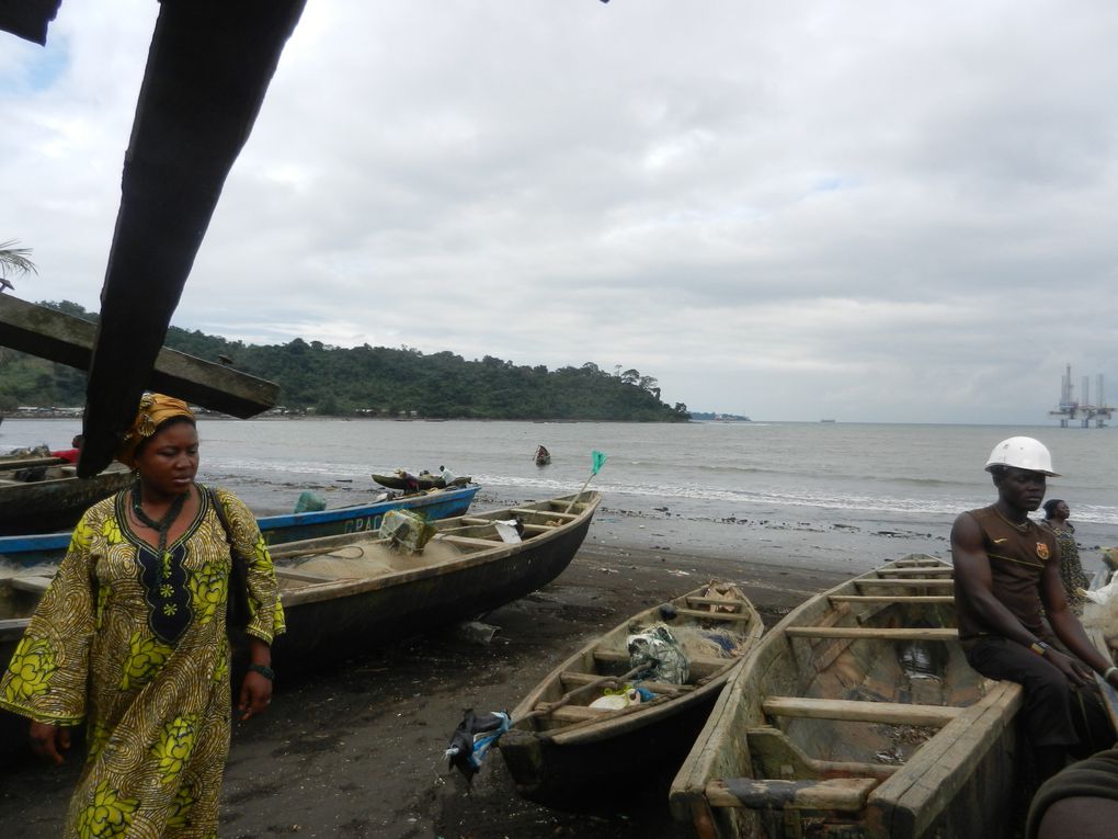 Limbé et ses plages, son parc botanique, son centre de la faune, son activité. Buea base pour le Mont Cameroun et le pont M'Fundi base pour le Nigeria