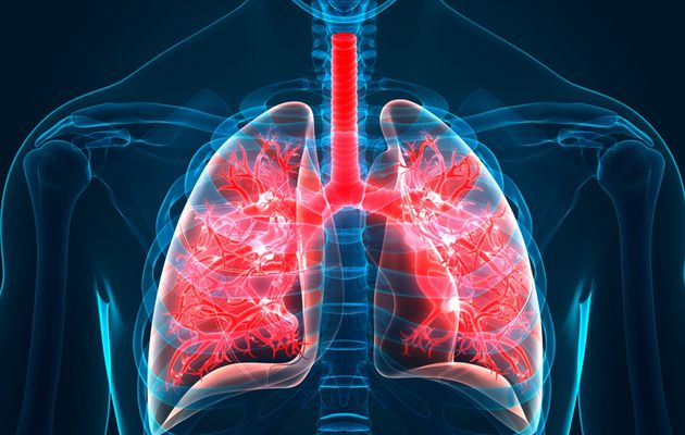 Europe Idiopathic Pulmonary Fibrosis Treatment Market Report 2022: Industry Trends, Size and Forecast 2027