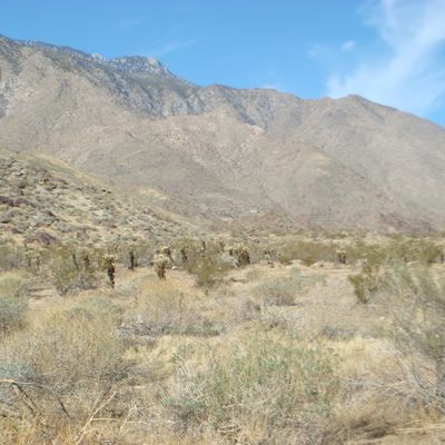 Palm Springs - Desert, Canyon and Indian reserves