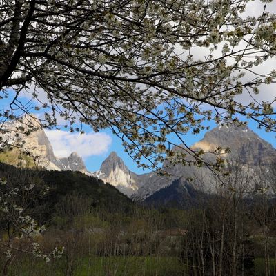 Flamboyantes Aiguilles...