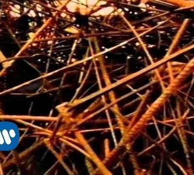 Café Tacvba - No Controles