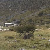 Parc naturel régional du Verdon | Une autre vie s'invente ici