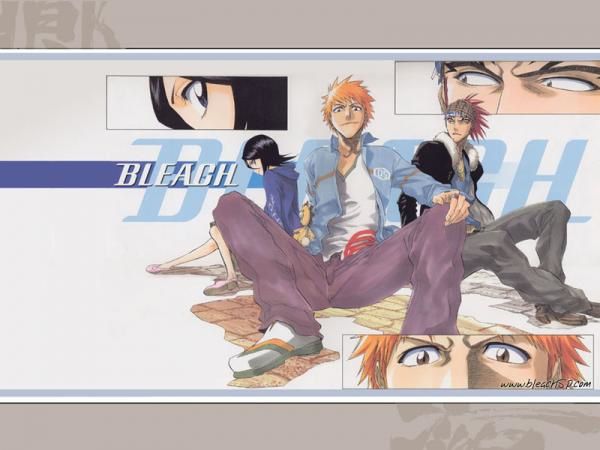 Album - Bleach