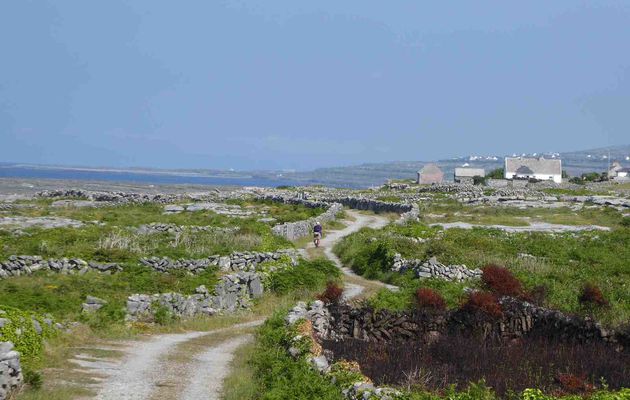 5 Juin 2018 – Irlande à vélo – L’île d’Inishmore, des murets à n’en plus finir 