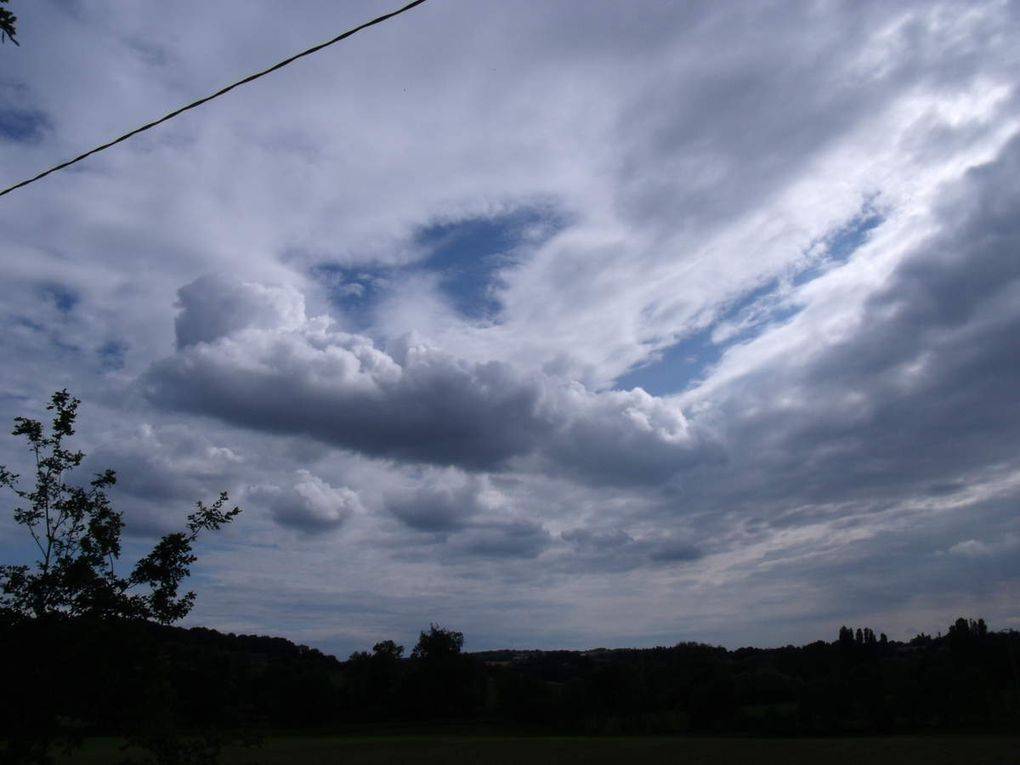 Après la montée qui suit le passage sous l'autoroute, prendre sur droite puis la première à gauche, direction Saint Georges du Bois dans un chemin très ombragé. "Route interdite au plus de 7 tonnes". Bon moi, ça va, je n'ai que 7 kg dans mon sac