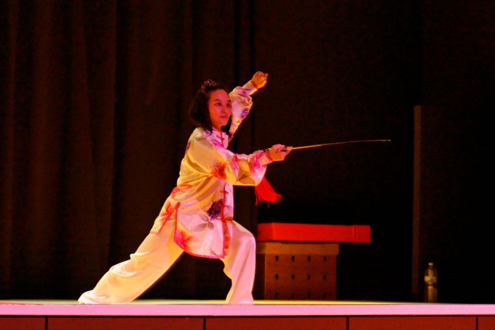 Album - Gala-Arts-martiaux-Tatami-et-Zenitude-2013