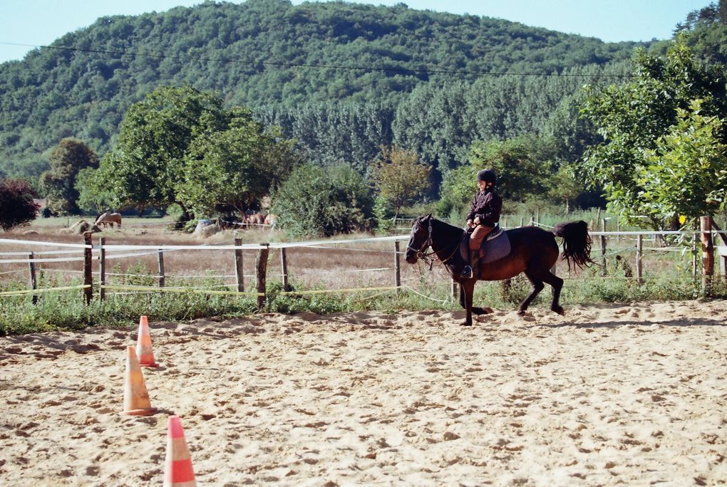 Les chevaux de LA SIMIOUNE (Près de BOLLENE dans le VAUCLUSE)