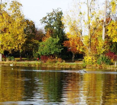 Le Bois de Vincennes, le tour du Bois par les lacs et le ruisseau de Gravelle