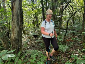 Des chemins ombragés dans les bois