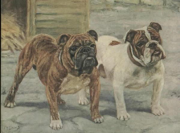 Album - Old-pics Bulldogs