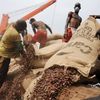 Côte d`Ivoire: l`exportation de cacao va reprendre "immédiatement" (Ouattara)