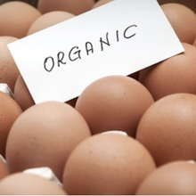 Fipronil, le retour ?