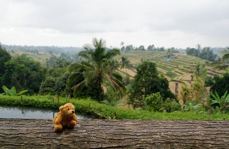 Bali Juillet 2019 - Jatiluwih - Des terrasses partout !!