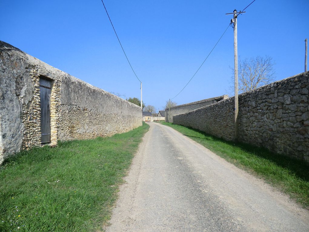 La promenade nous invite à longer les berges vertes du Loir où nous allons découvrir le moulin,le lavoir et château du Verger