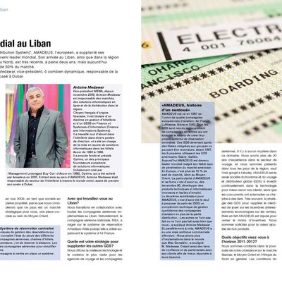 Articles Masculin - Economie - Environnement  (2010-2011)