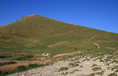 Couchant au Charmant Som