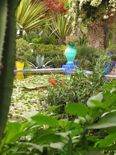 Le Jardin Majorelle et ses merveilleuses couleurs (même sous la pluie)