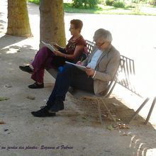 Sortie du 8 août 2013 au jardin des plantes - Paris