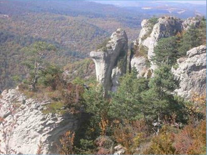 Ici vous trouvez quelques photos du magnifique parcours des Templiers, course à pied "trail", version longue (111 Km, prévu octobre 2010).
(je suis inscrit, reste plus qu'à m'entrainer tranquilement.)