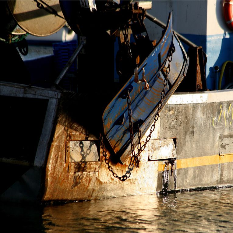 Les bateaux de pêche dans le port de la Turballe Loire-Atlantique - Photos Thierry Weber