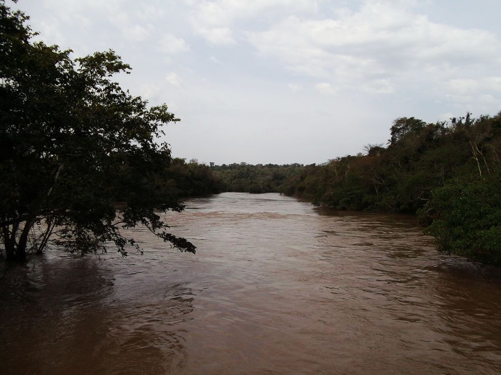 Album - chutes d'Iguazu