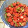 Tarte aux fraises sans cuisson, base aux biscuits rose de reims