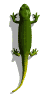 FraiseFidèle1395258
