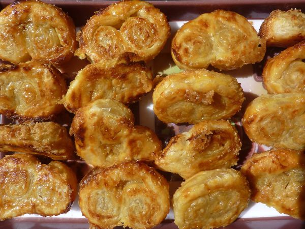 Petits palmiers