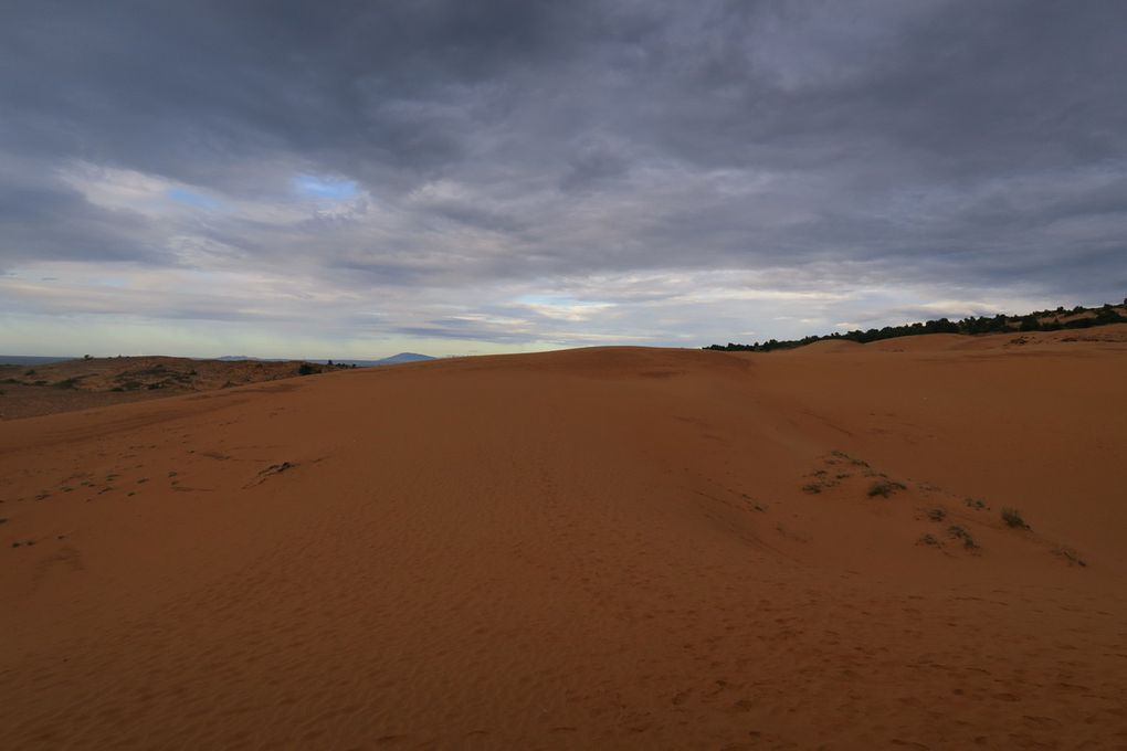 Les dunes de sable rouge 