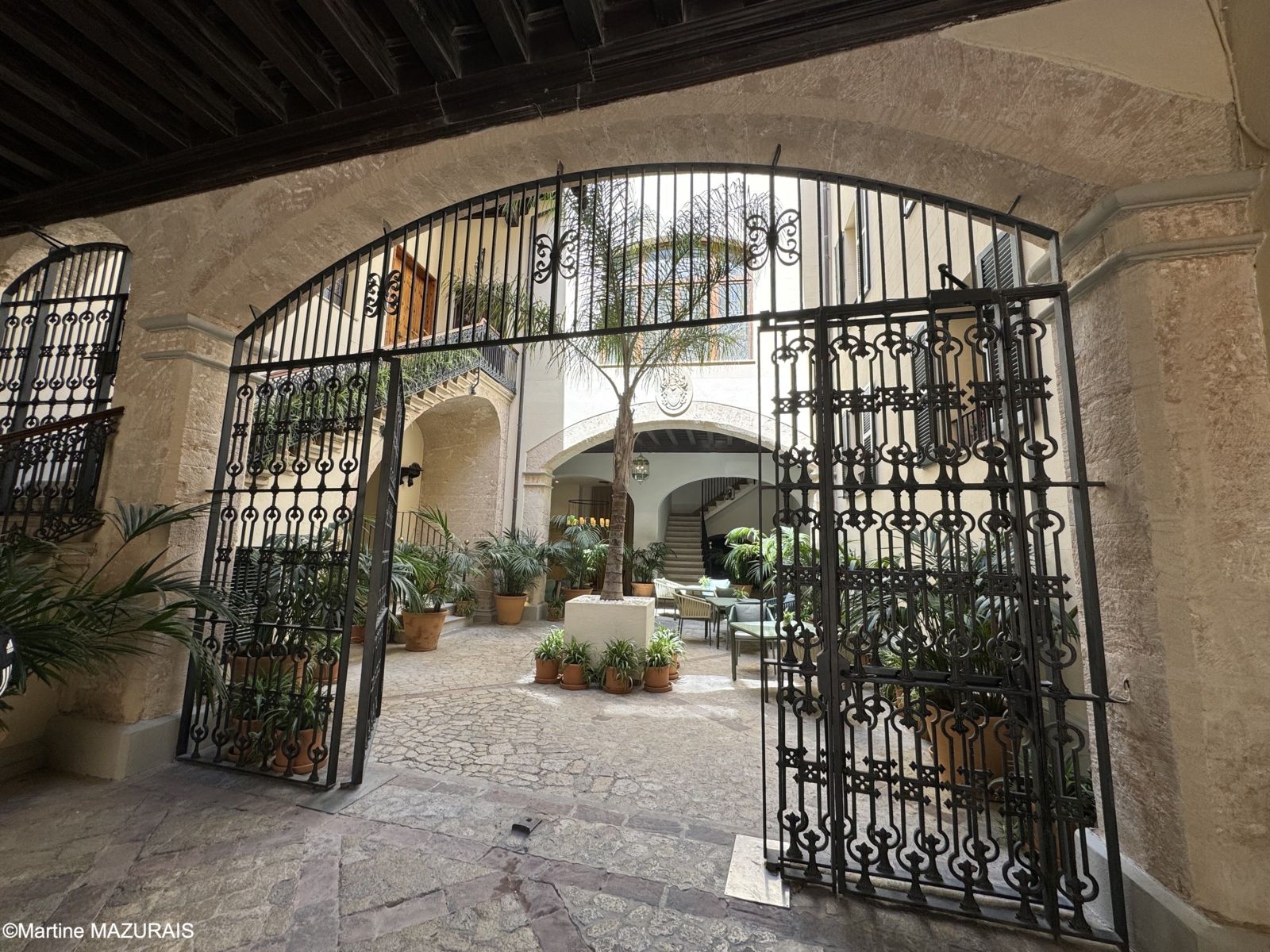 Palma Palacio Galesa