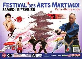 Festival des Arts Martiaux Paris Bercy