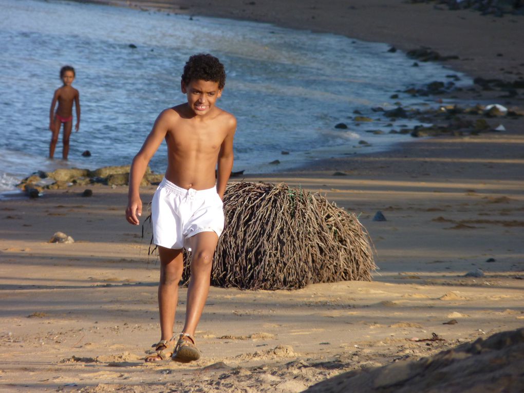 Album - Guyane-Ete-2011