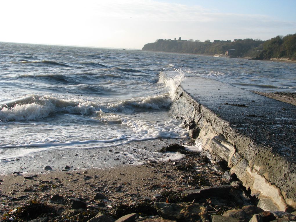 Album - bretagne-2009