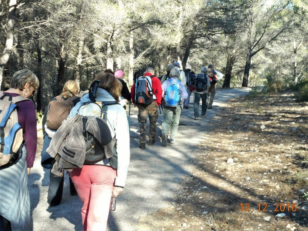 D'Allauch le Logis neuf, le circuit de la Moure en rando!