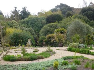 Le Jardin Botanique / El Jardin Botanico