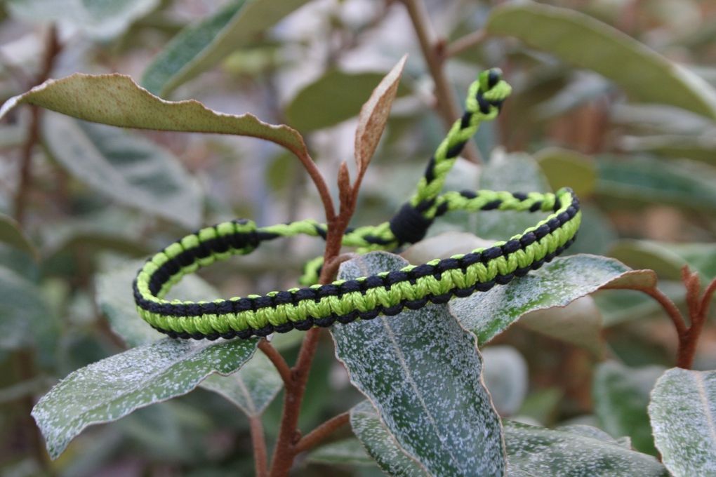 Bracelet girly green &amp; black