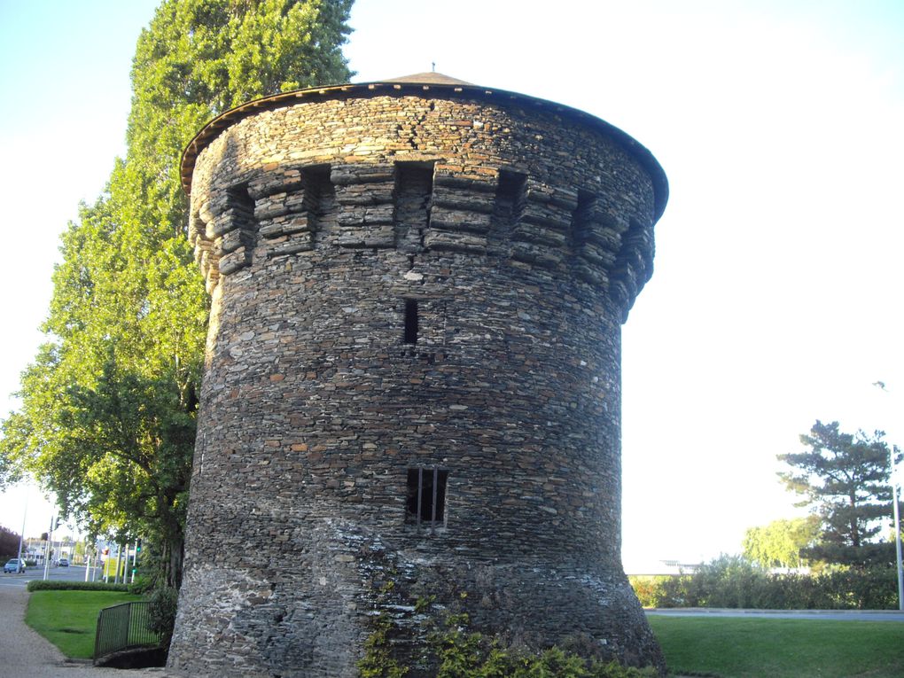 Quelques vues de la Tour des Anglais à Angers.