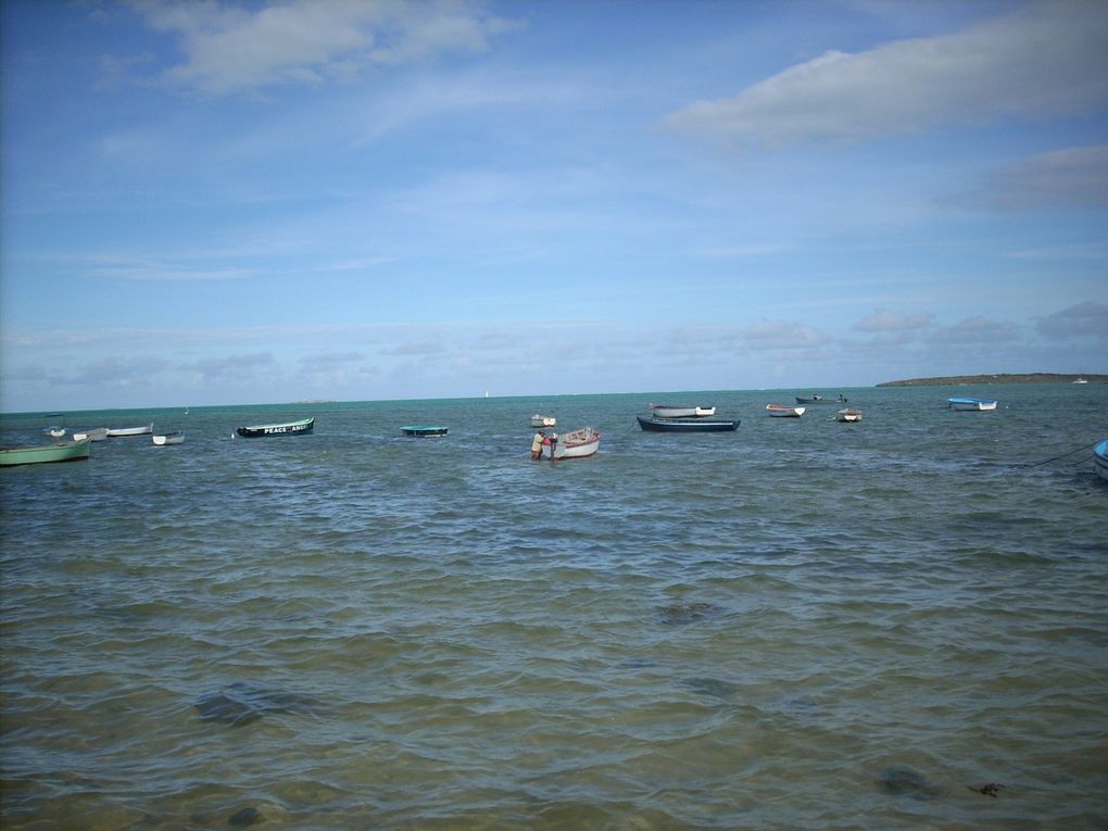 Photos prises lors de notre séjour sur l'ile Maurice.