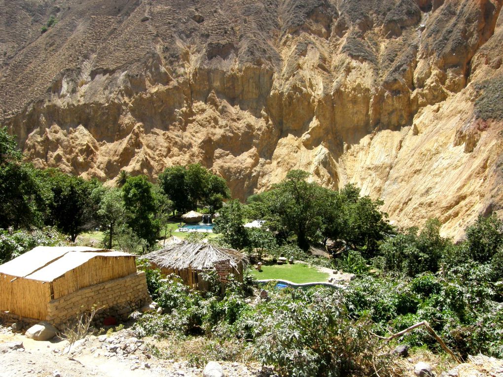 Album - Pérou- Arequipa et Canyon de Colca