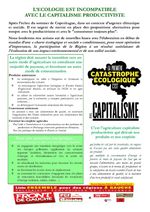 L'Ecologie est incompatible avec le capitalisme productiviste