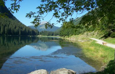 Le Lac de Montriond (Vallée d'Aulps - Haute-Savoie)