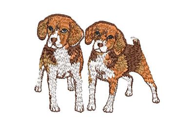 BRODERIE CHIOTS          