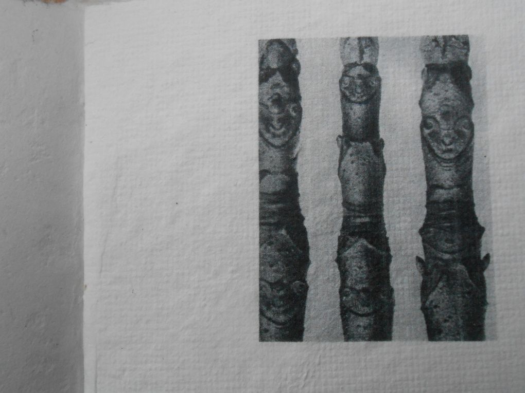 livre en papier de chanvre "le temps qui passe" avec des impressions de Karl Blossfeld