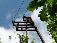 A Vesonne, une boite aux lettres très travaillée. Le chemin caillouteux est balisé par une ligne électrique hors d'âge.